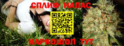 прущие грибы Железноводск