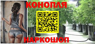 прущие грибы Ефремов