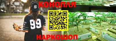 прущие грибы Ефремов