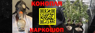 прущие грибы Железноводск