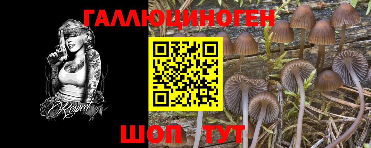 Галлюциногенные грибы мухоморы Дербент